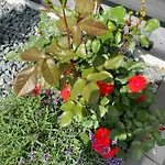 Luxurioeses Anita Mit Pool, Whirlpool Und Sauna Nahe Timmendorfer Strand, Travemuende Und Luebeck 펜션 *